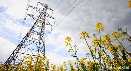110106-pylon-460